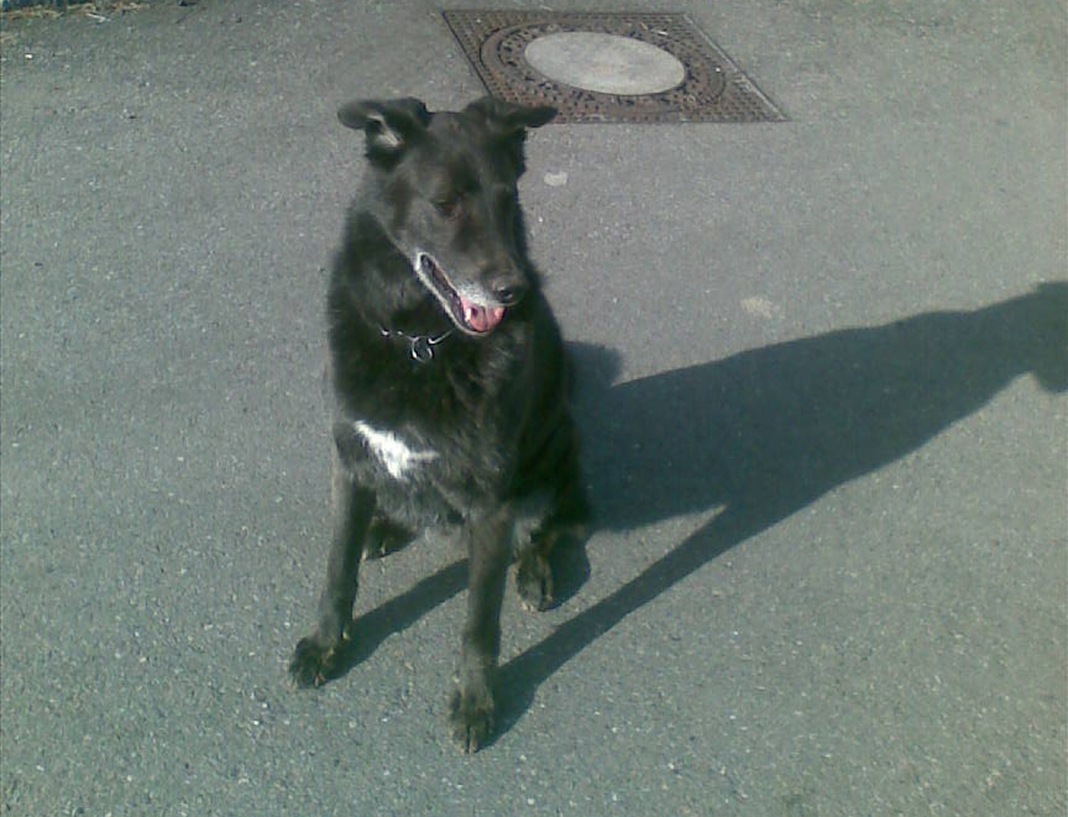 mit 6 Jahren.jpg (1535 x 1175)